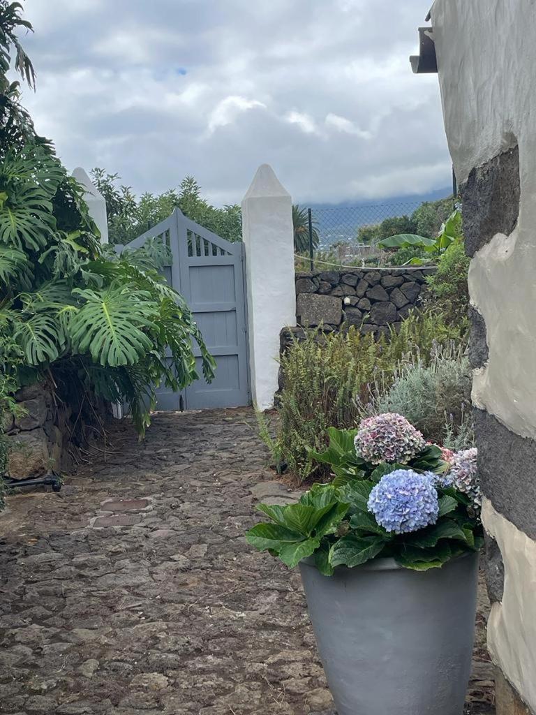 Casas La Principal Vendégház San Pedro  Kültér fotó