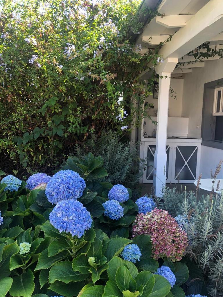 Casas La Principal Vendégház San Pedro  Szoba fotó